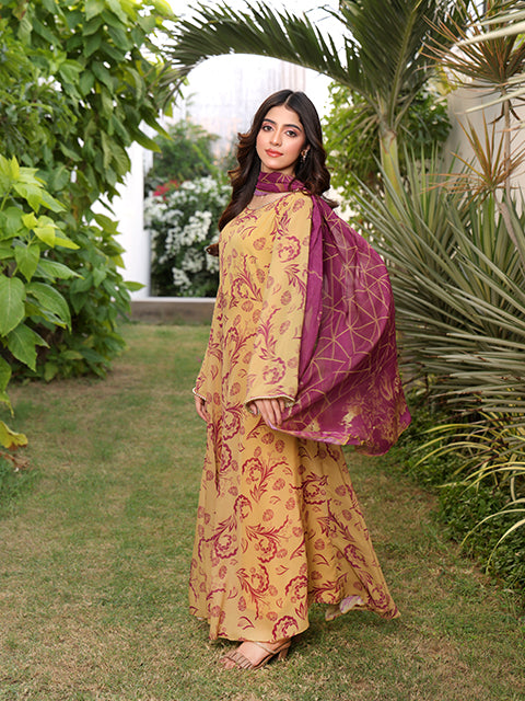 a line dress designs in pakistan New Dress Designs 2025 In Pakistan DeCLARE