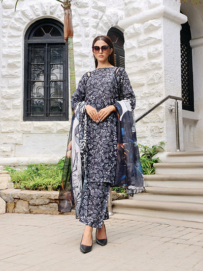 Effervescent (LD-12)-Unstitched