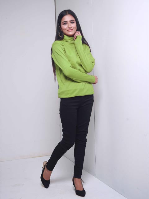 Pistachio Turtle Neck (H-Pistachio)
